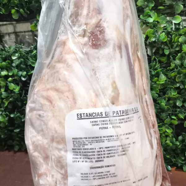 008 SAIDERAAA - 2 CX DOS SONHOS (TOTAL 8 PREMIOS + TOP)